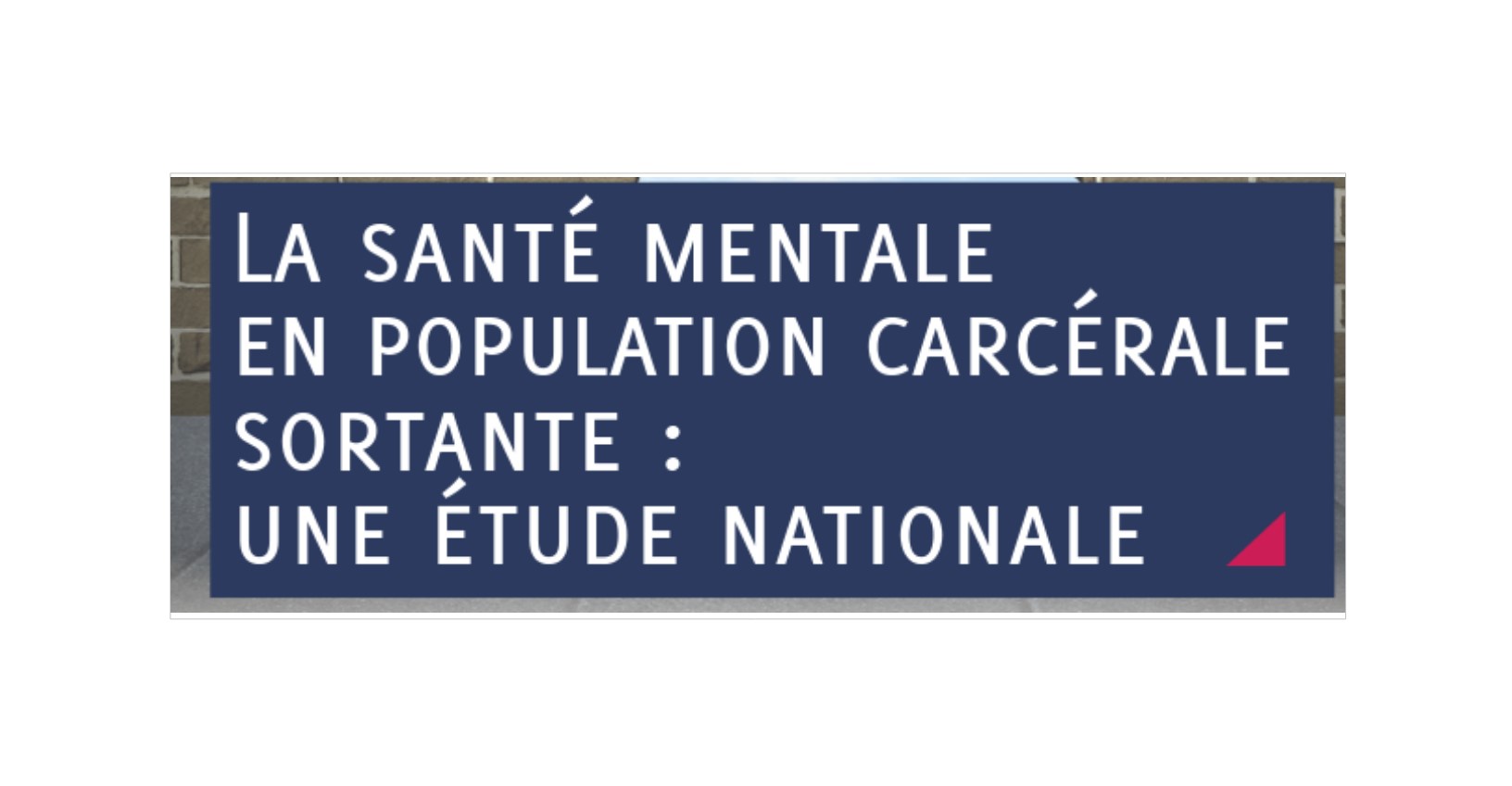 La Santé Mentale En Population Carcérale Sortante : Une étude Nationale ...